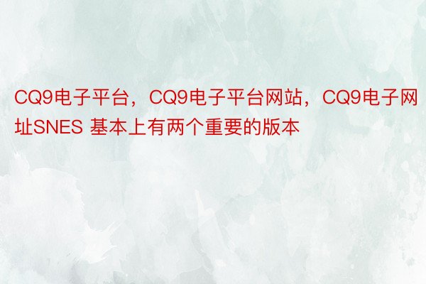 CQ9电子平台，CQ9电子平台网站，CQ9电子网址SNES 基本上有两个重要的版本