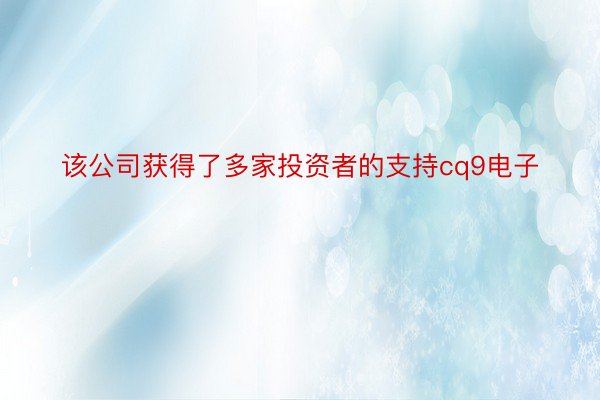 该公司获得了多家投资者的支持cq9电子